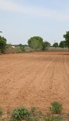 An image of land