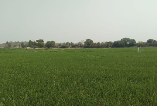 An image of land
