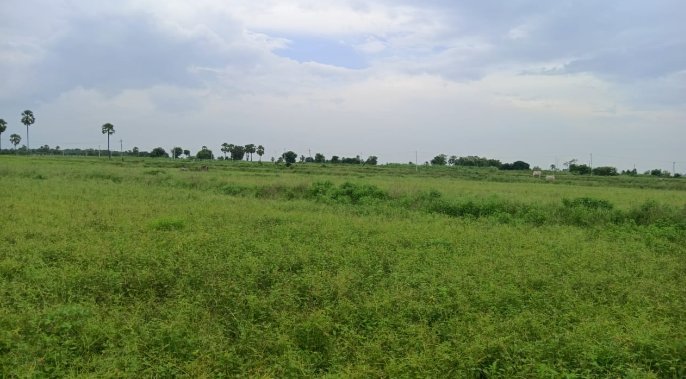 An image of land