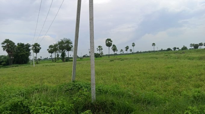 An image of land