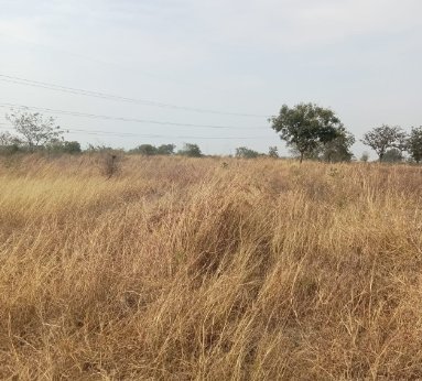 An image of land