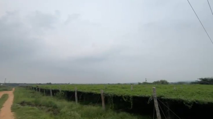 An image of land