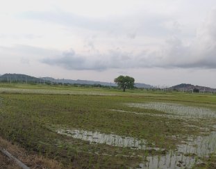 An image of land