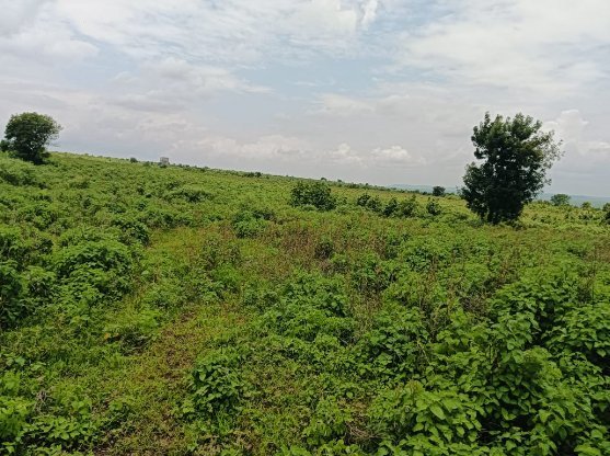 An image of land