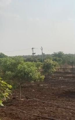 An image of land