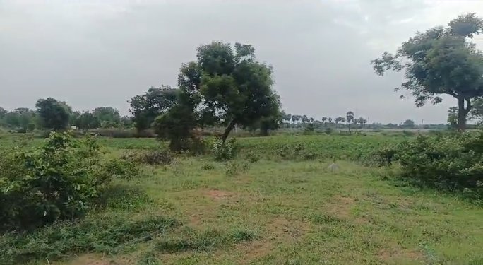 An image of land