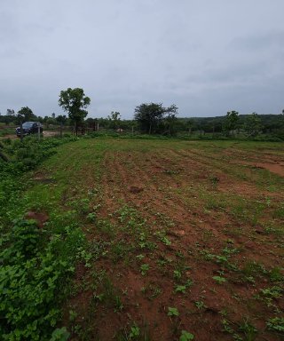 An image of land