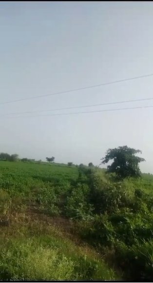 An image of land