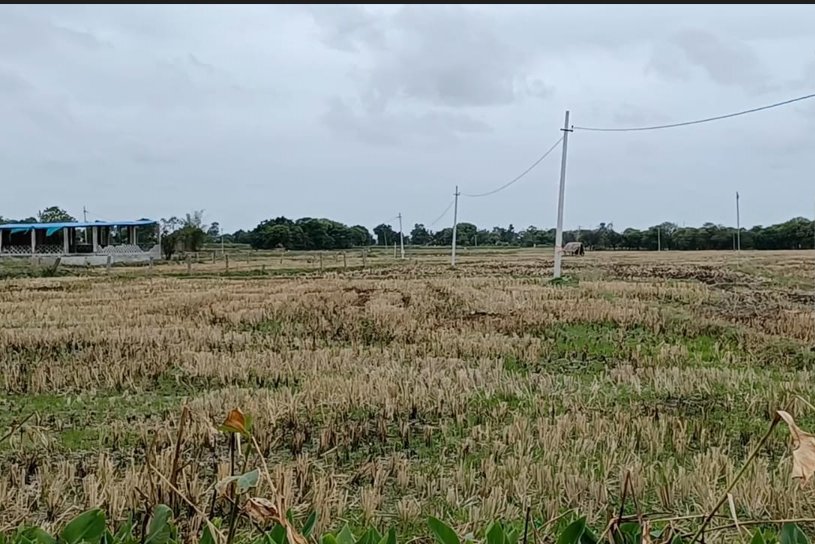 An image of land
