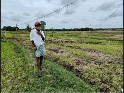 An image of land