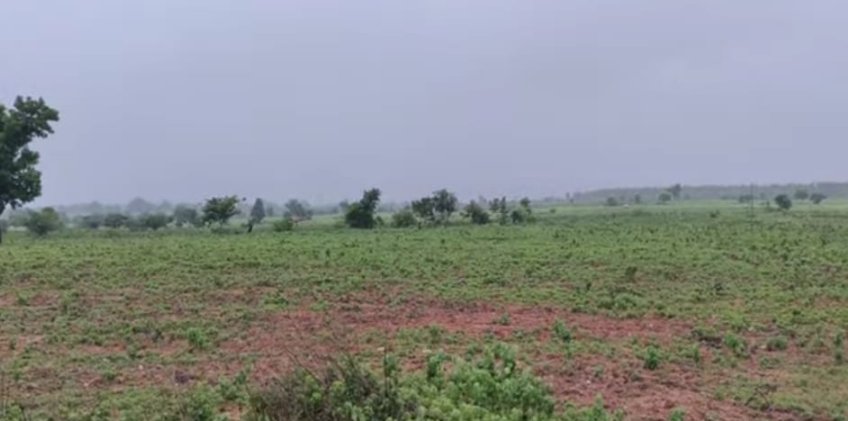 An image of land