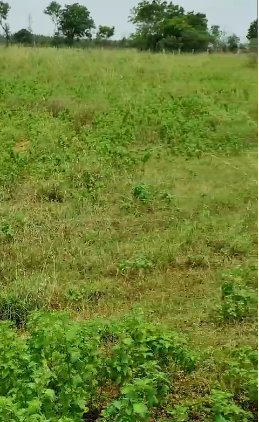 An image of land