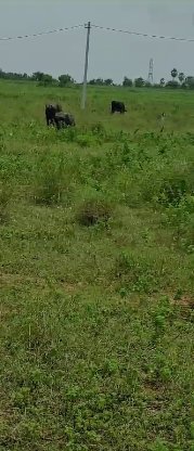 An image of land