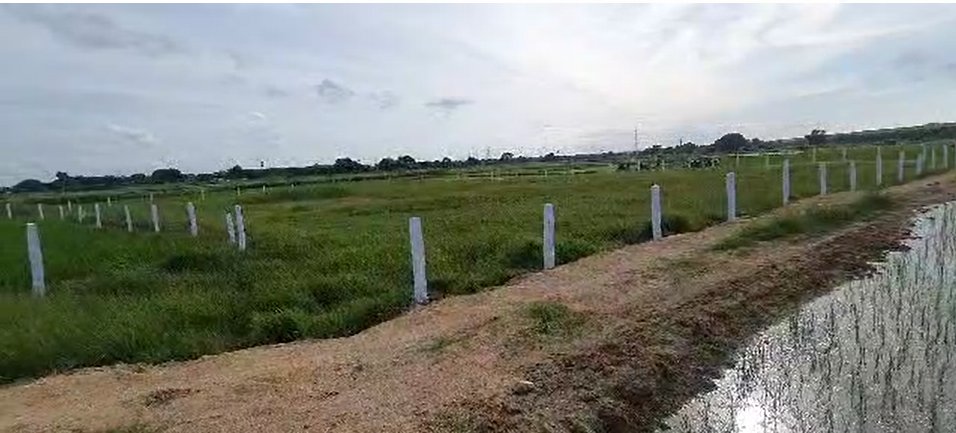 An image of land