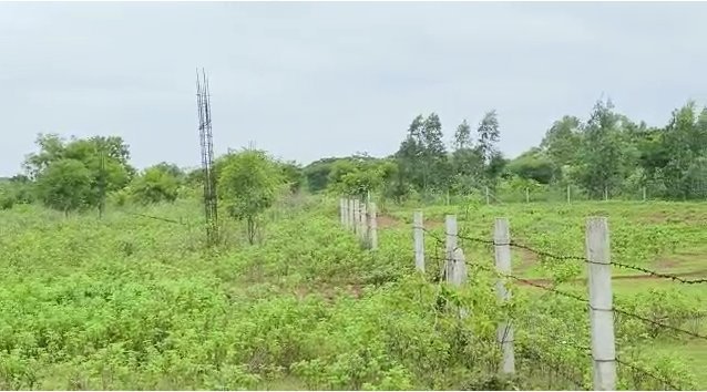 An image of land