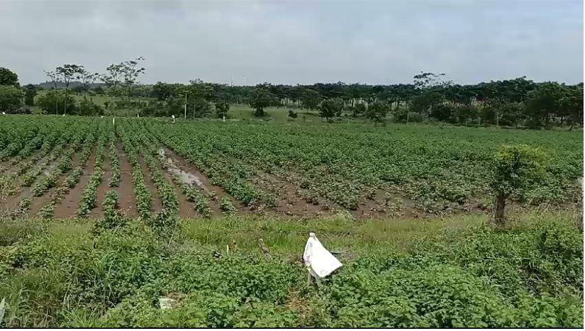 An image of land