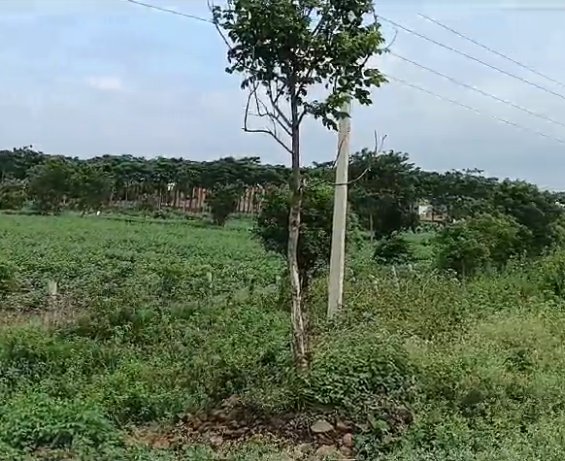 An image of land