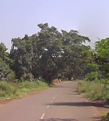An image of land