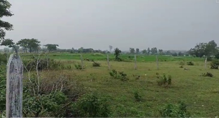 An image of land