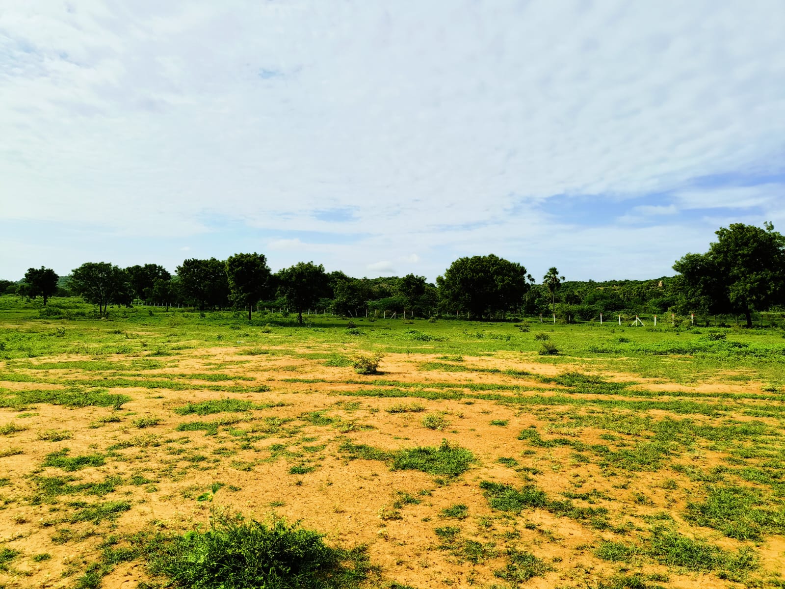 An image of land