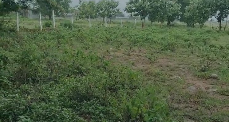 An image of land