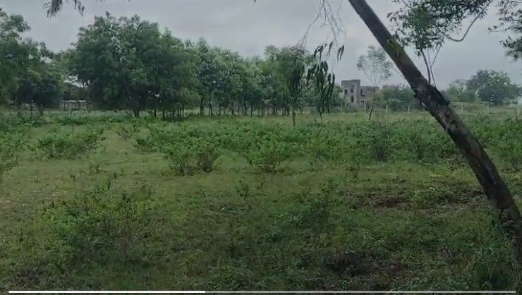 An image of land