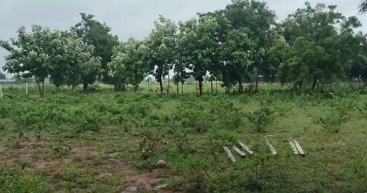 An image of land