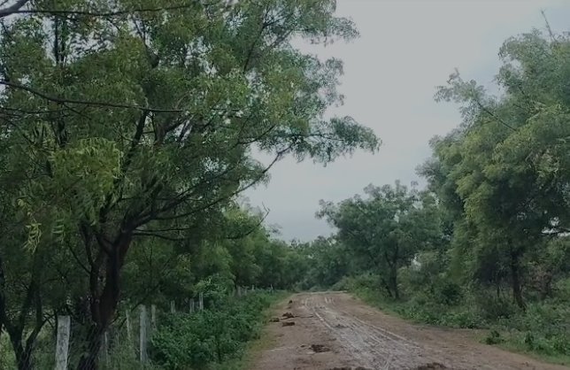 An image of land