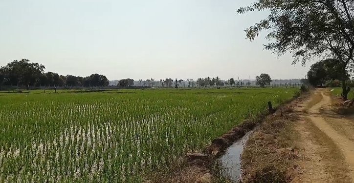 An image of land
