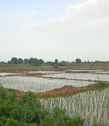 An image of land