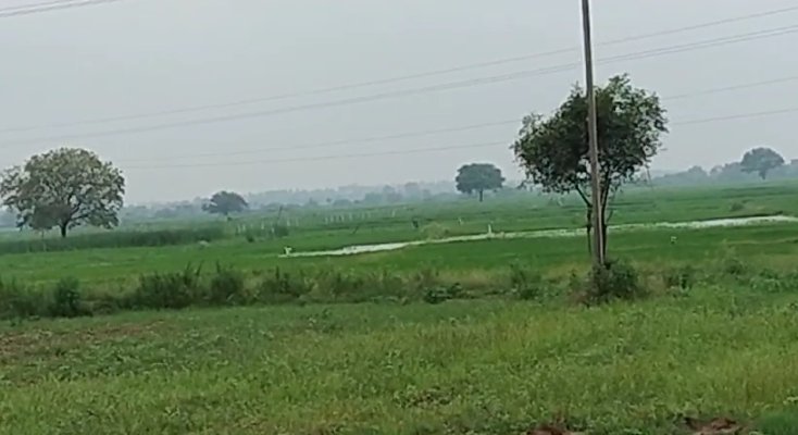 An image of land