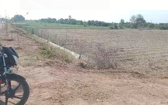 An image of land