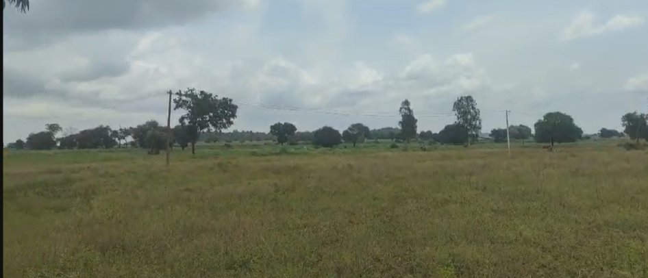 An image of land