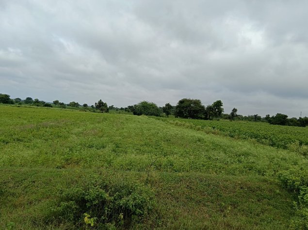 An image of land