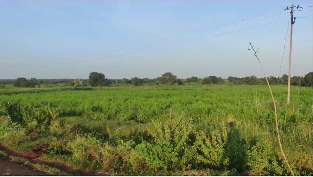 An image of land