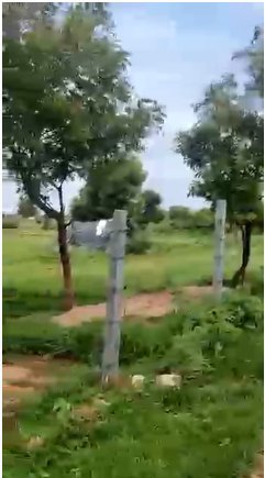 An image of land