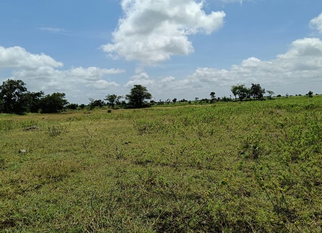 An image of land