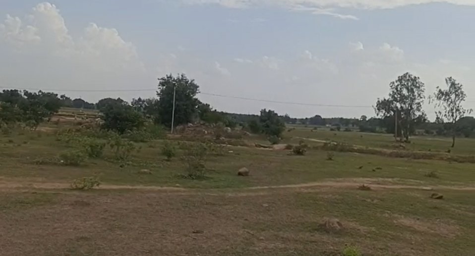 An image of land