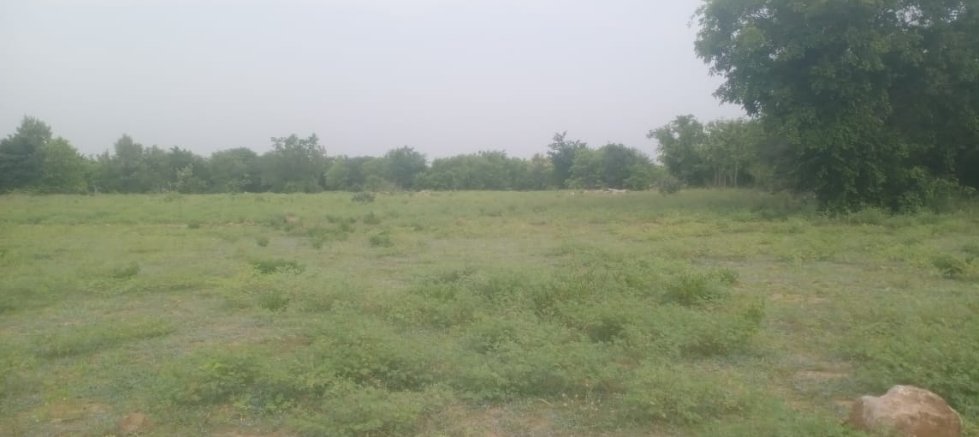 An image of land
