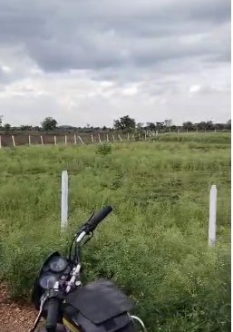 An image of land