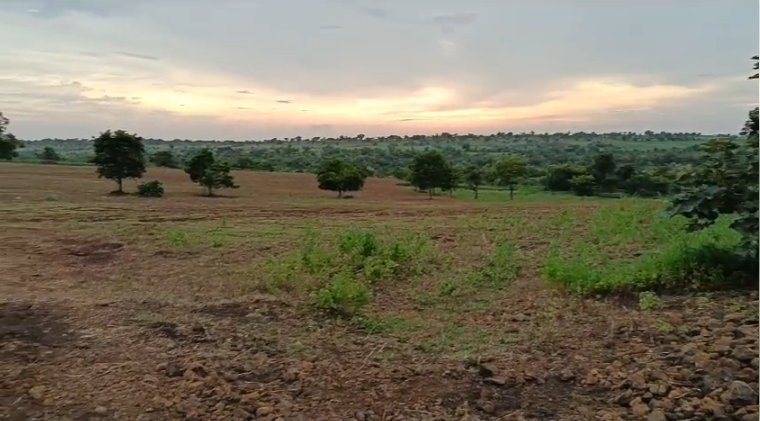 An image of land