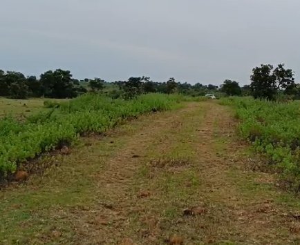 An image of land