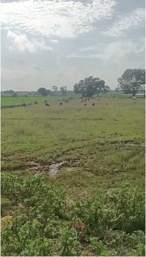 An image of land