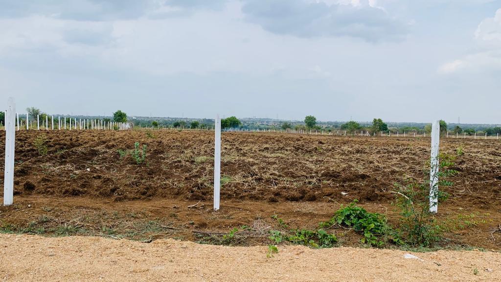 An image of land