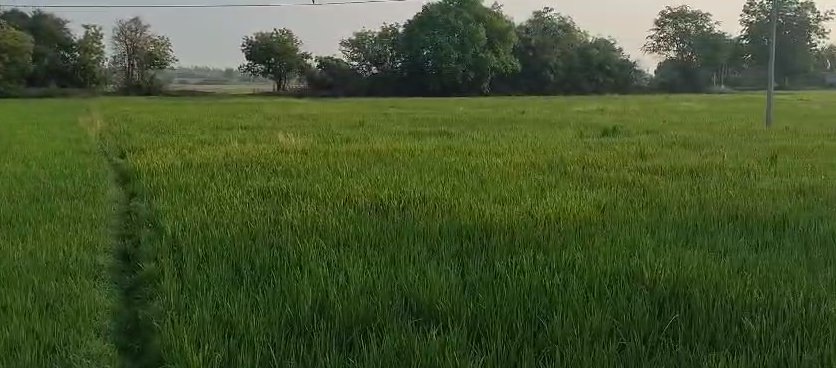 An image of land