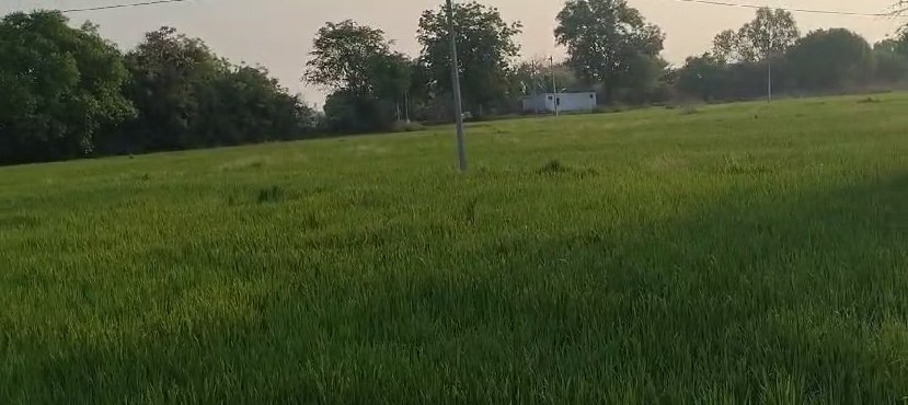 An image of land