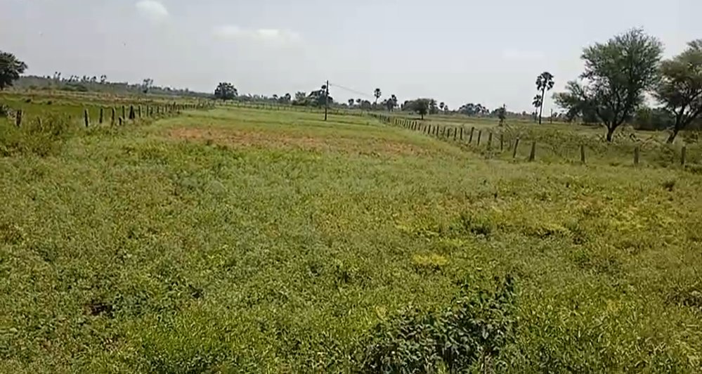 An image of land