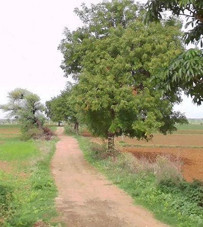 An image of land