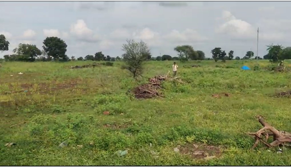 An image of land