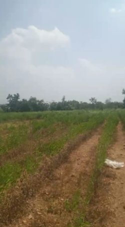 An image of land